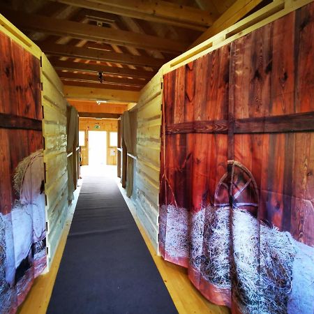 Kamp Beli Gaber Otel Stari Trg pri Lozu Dış mekan fotoğraf
